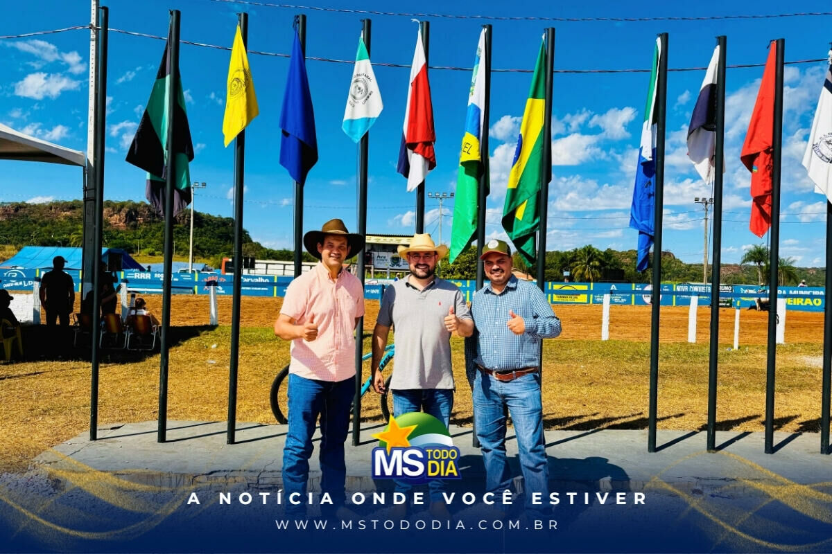 Imagem da Galeria